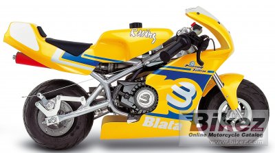 2005 blata minibike 2.5 photo